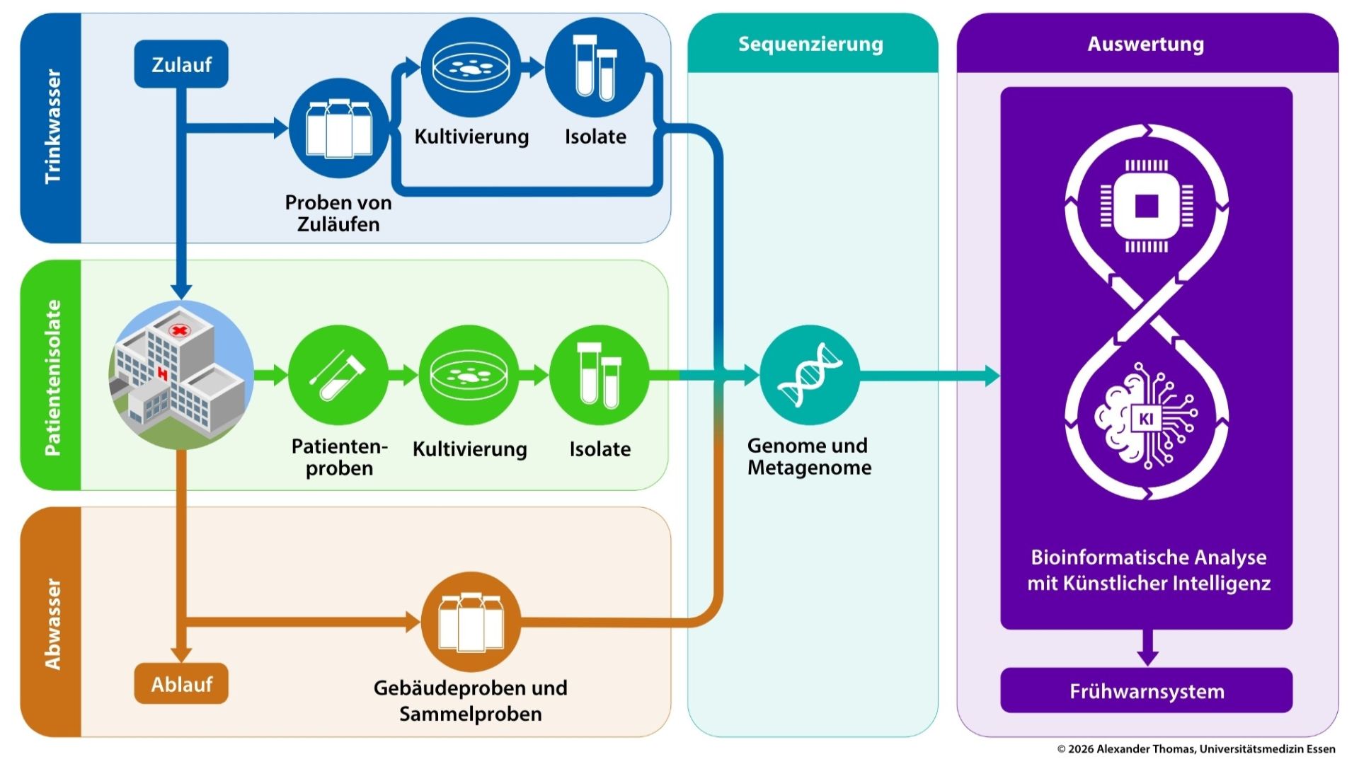 Infografik zum Prozess eines Frühwarnsystems durch die Analyse von Trinkwasser, Patientenisolaten und Abwasser mittels Künstlicher Intelligenz.